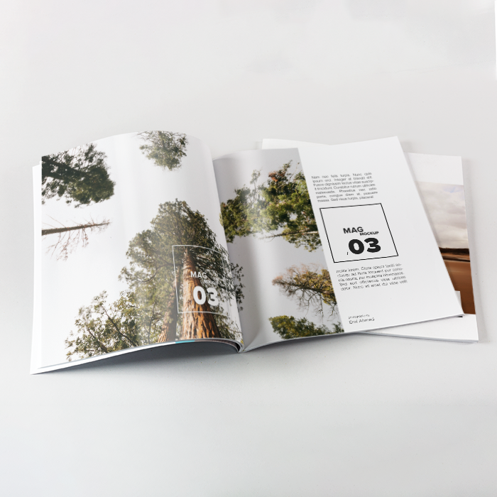 Slite Media - Catalog Design - Catalog Design